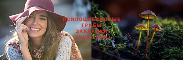 кокс Белокуриха