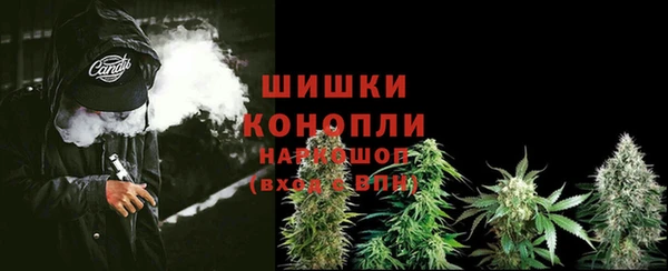 кокс Белокуриха