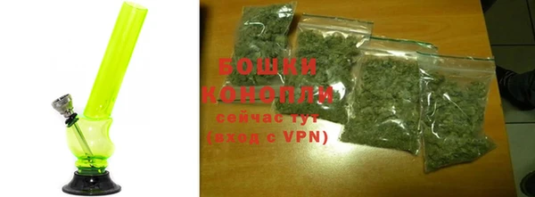 индика Бронницы
