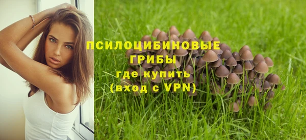 apvp Беломорск