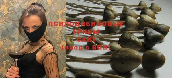 МДПВ Бугульма