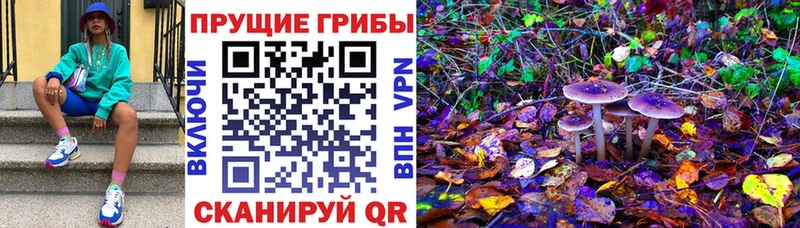 Псилоцибиновые грибы MAGIC MUSHROOMS  даркнет сайт  Баксан 